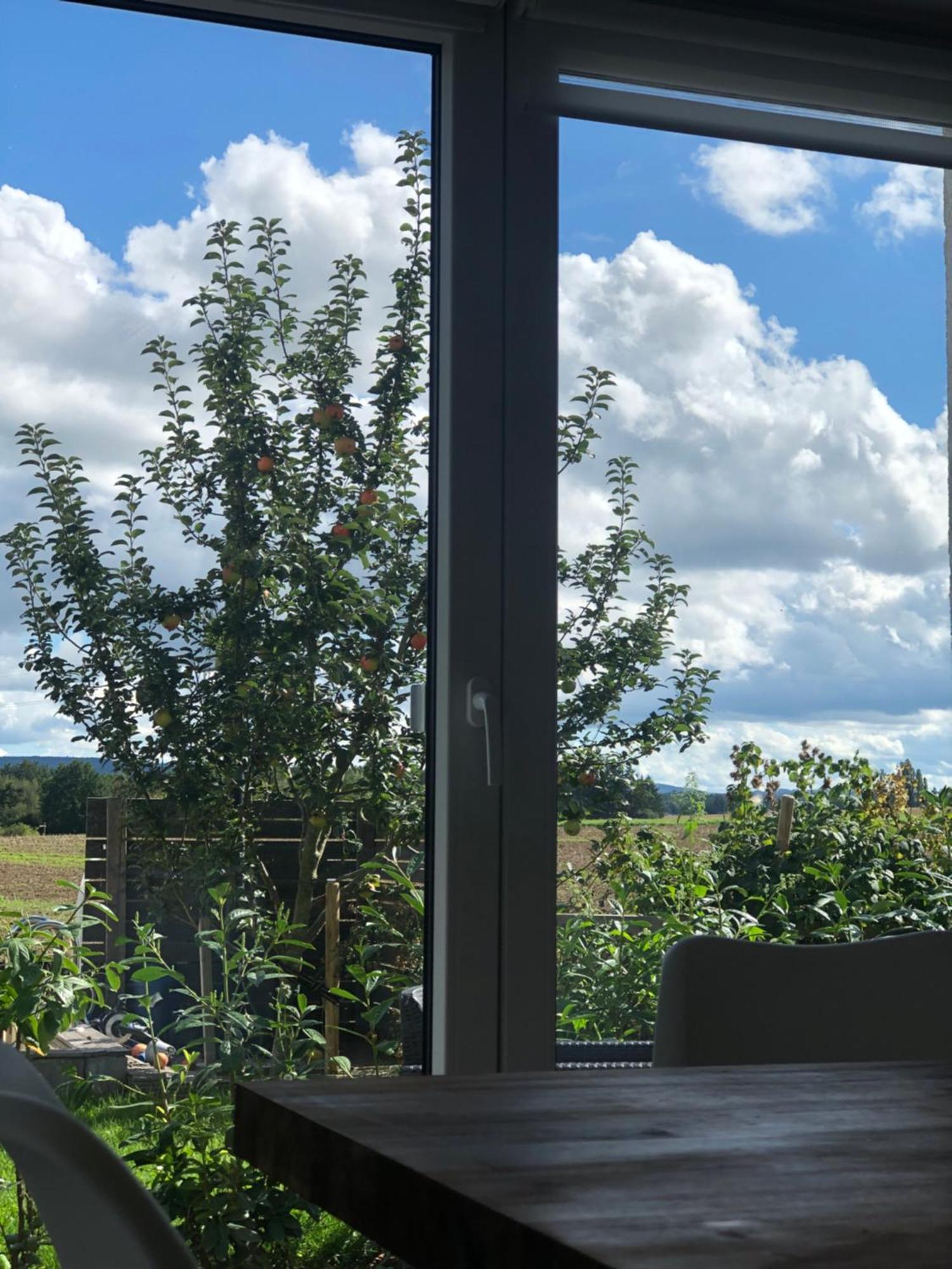 Schoefferles Mit Sauna